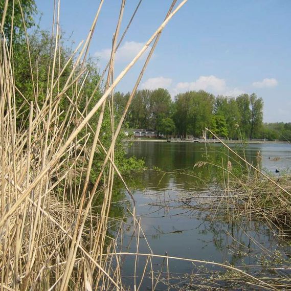 Öffentliche Bauten vom Ingenieurbüro André Reimer aus Limbach-Oberfrohna